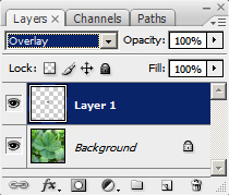 overlay